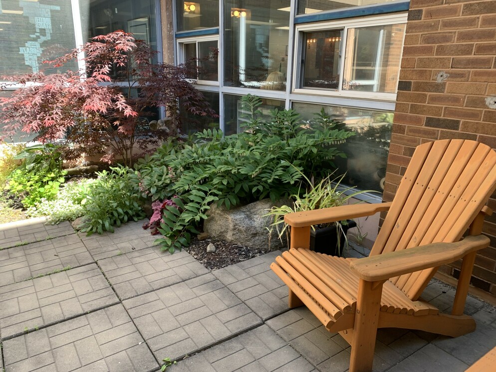 Picture of a chair with bushes beside it