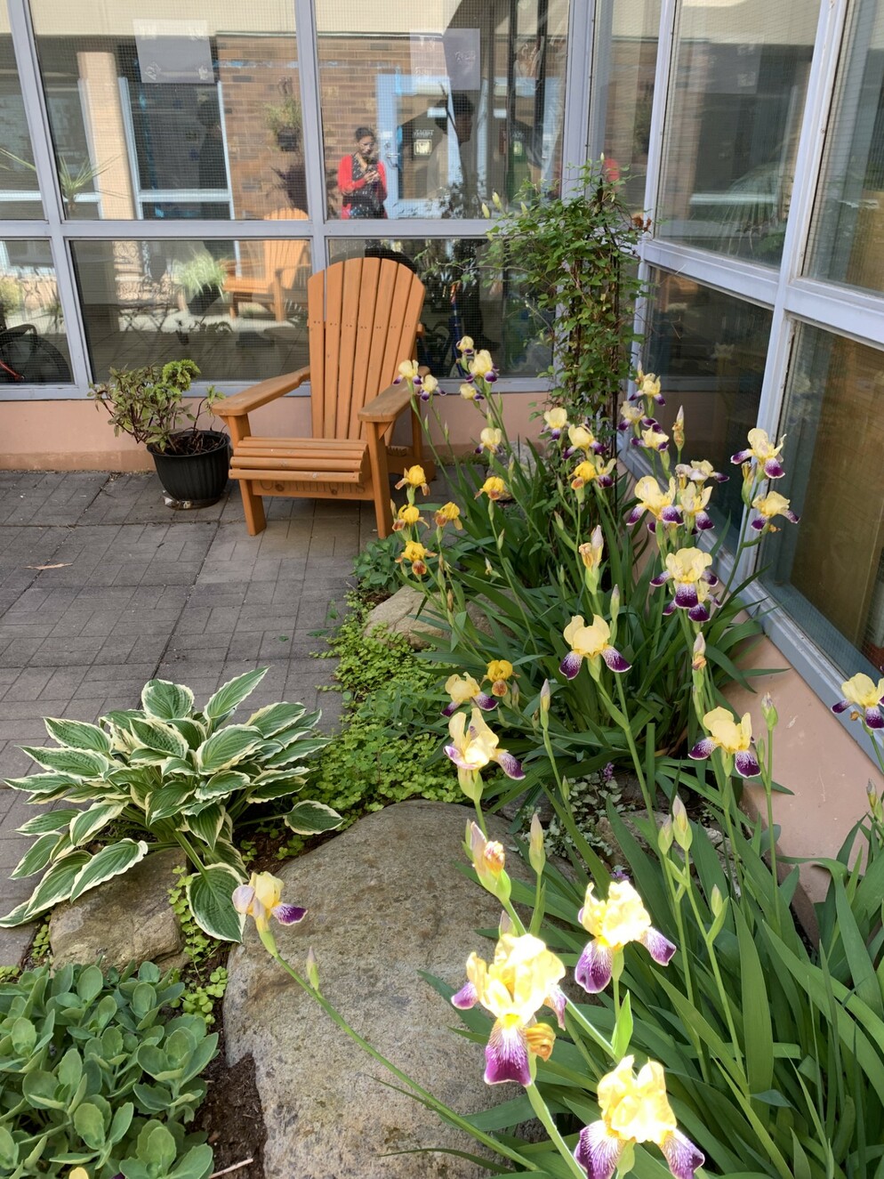 Picture of a chair around flowers