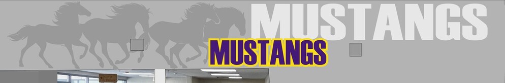 Mustangs banner